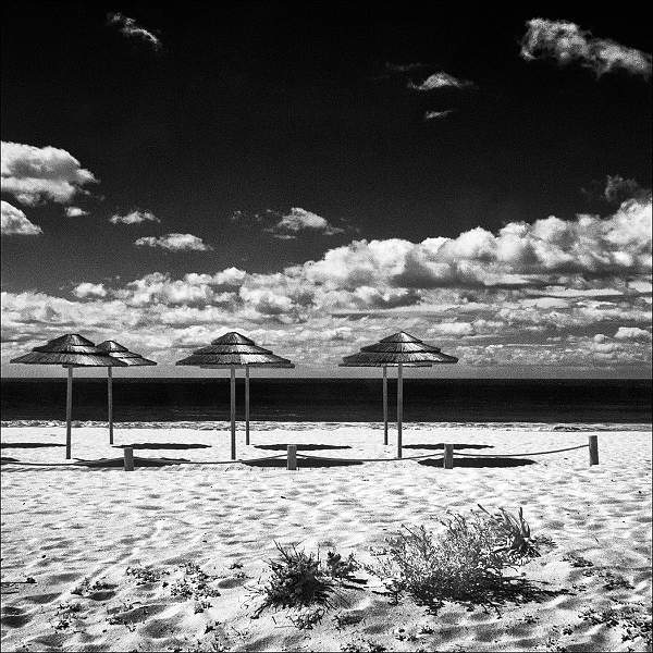 Sunshades 2.jpg